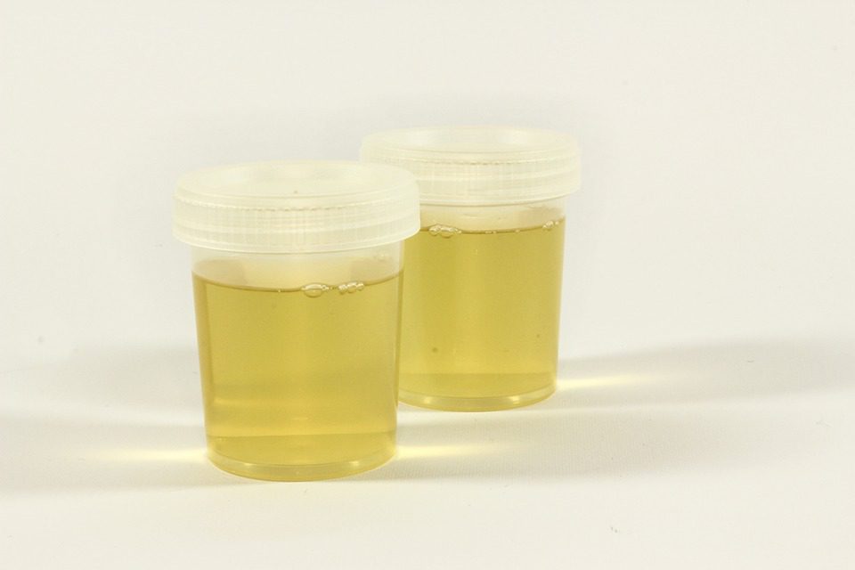fake pee